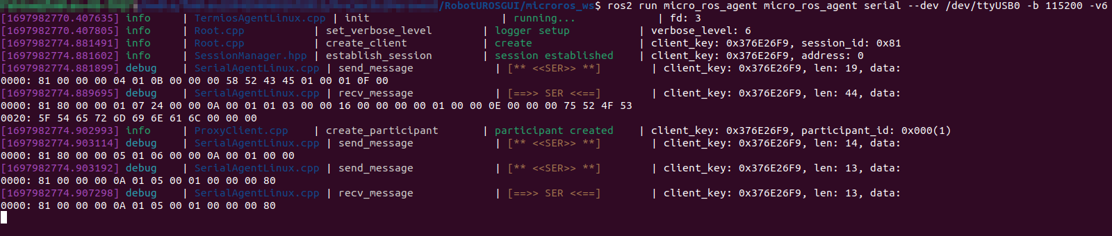 Micro ROS Agent Connection Terminal Output v6