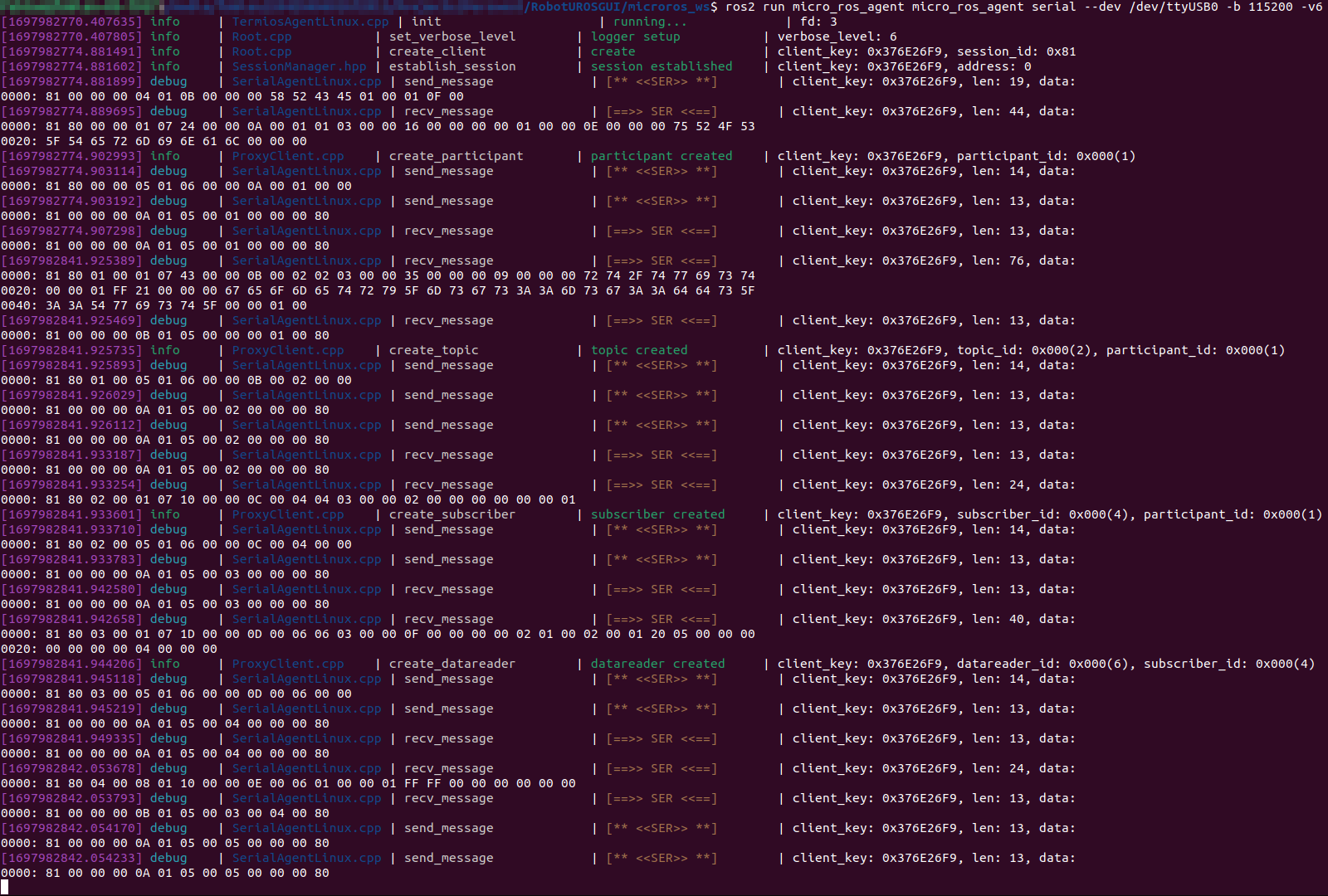 Micro ROS Agent Subscriber Added Terminal Output v6